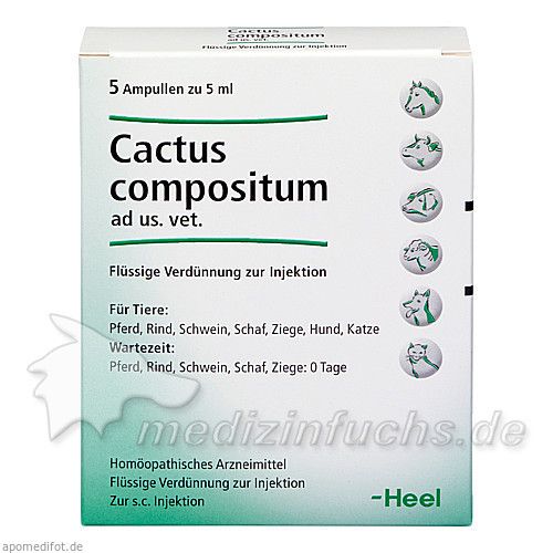 CACTUS COMPOSITUM ad us.vet.Ampullen, 5 ST