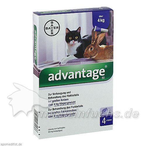 ADVANTAGE 80 mg f.gr.Katzen u.gr.Zierkaninchen, 4X0.8 ML