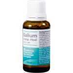 GALIUM COMP.-Heel ad us.vet.Tropfen 30 ml (артикул 4658050) 